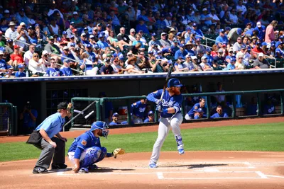 DSC_1739 (Large).JPG